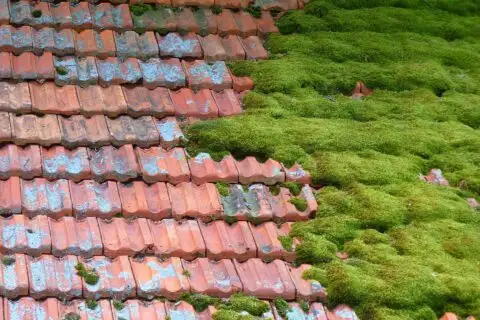 Roof Cleaning roofing installation 1